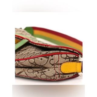 Christian Dior Rasta Saddle Bag Diorissimo Trotter AW2004 Runway Galliano Era